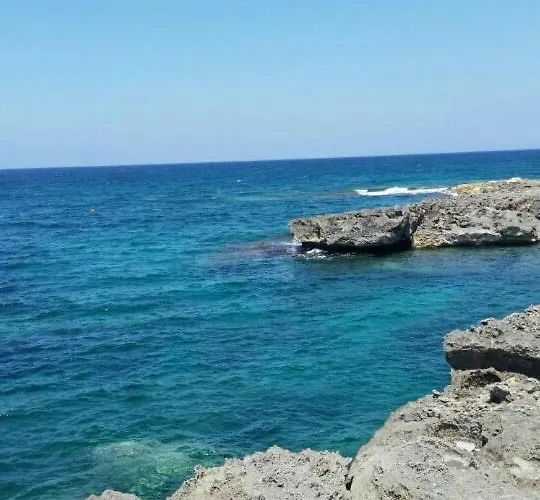 Iron House * 托雷苏达